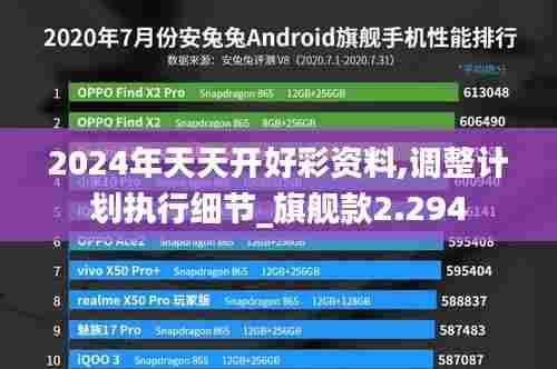 2024年天天开好彩资料,调整计划执行细节_旗舰款2.294