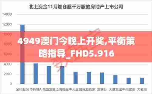 4949澳门今晚上开奖,平衡策略指导_FHD5.916