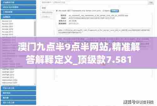 澳门九点半9点半网站,精准解答解释定义_顶级款7.581