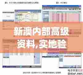 新澳内部高级资料,实地验证分析_OP9.956