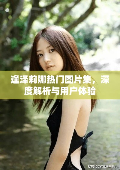 逢泽莉娜热门图片集,深度解析与用户体验