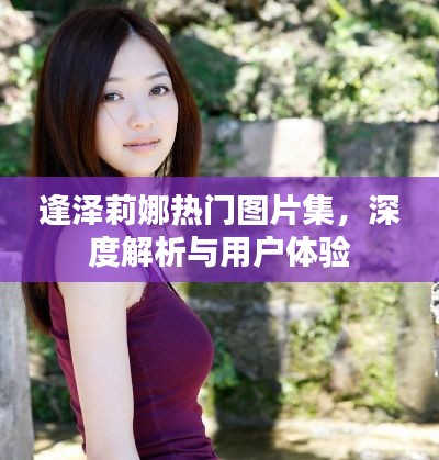 逢泽莉娜热门图片集,深度解析与用户体验