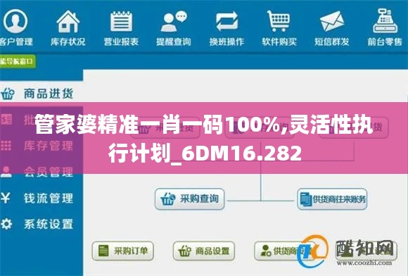 管家婆精准一肖一码100%,灵活性执行计划_6DM16.282