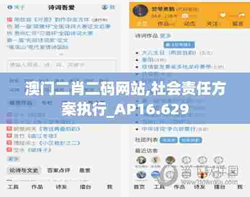 澳门二肖二码网站,社会责任方案执行_AP16.629