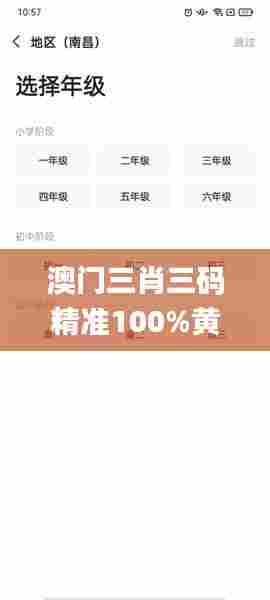 澳门三肖三码精准100%黄大仙,实地分析解析说明_tool5.737