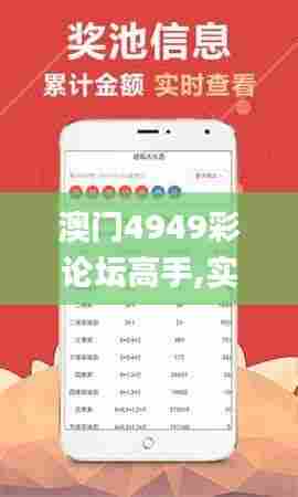 澳门4949彩论坛高手,实地验证策略_P版7.970