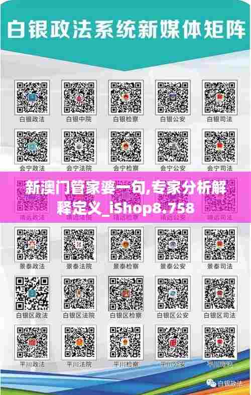 新澳门管家婆一句,专家分析解释定义_iShop8.758
