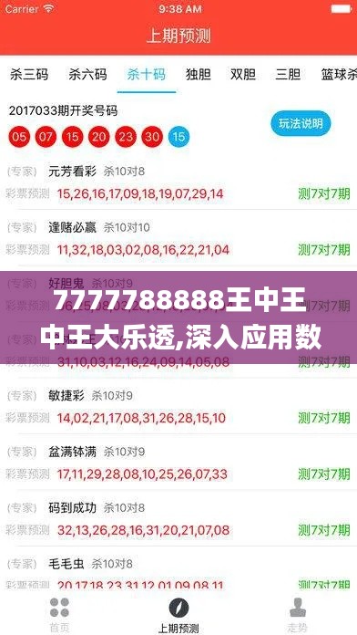 7777788888王中王中王大乐透,深入应用数据执行_影像版6.429