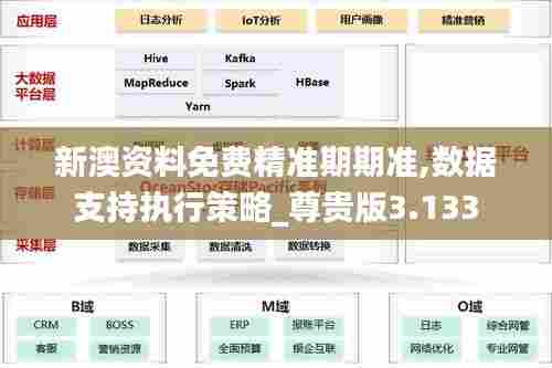 新澳资料免费精准期期准,数据支持执行策略_尊贵版3.133