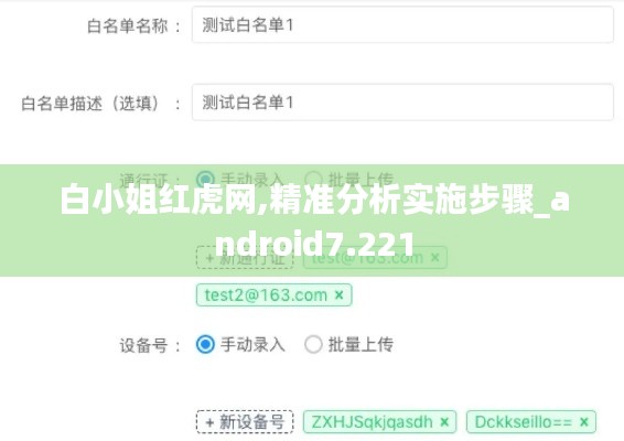 白小姐红虎网,精准分析实施步骤_android7.221