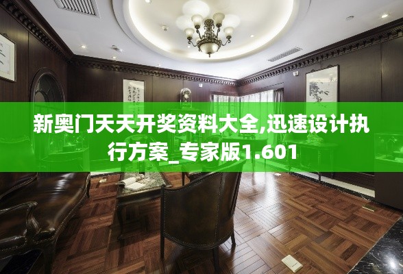 新奥门天天开奖资料大全,迅速设计执行方案_专家版1.601
