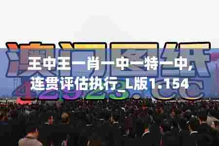 王中王一肖一中一特一中,连贯评估执行_L版1.154