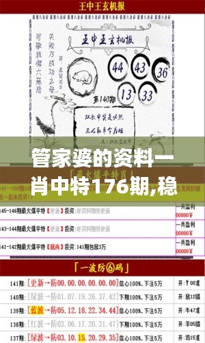 管家婆的资料一肖中特176期,稳定执行计划_尊贵版2.458