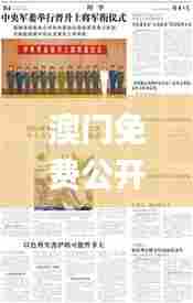 澳门免费公开资料最准的资料343期,绝对经典解释落实_创意版7.958