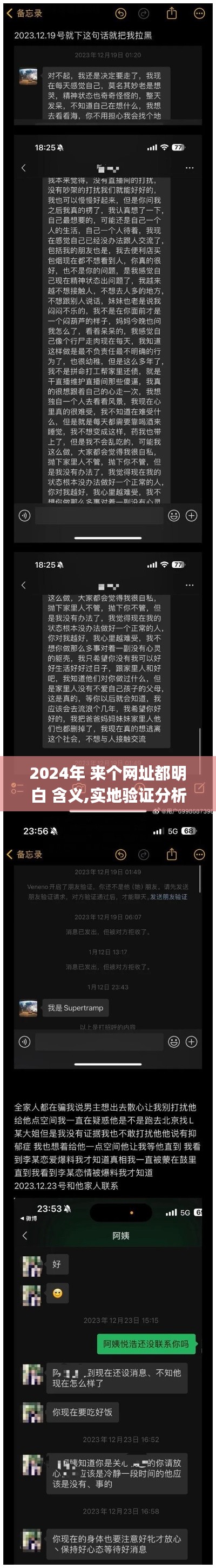 2024年 来个网址都明白 含义,实地验证分析_进阶版10.456