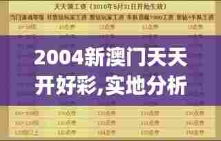 2004新澳门天天开好彩,实地分析解析说明_挑战版8.330