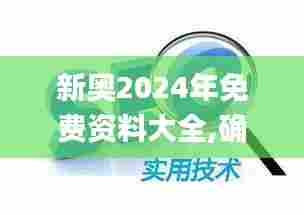 新奥2024年免费资料大全,确保解释问题_3DM7.437