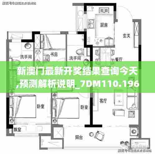 新澳门最新开奖结果查询今天,预测解析说明_7DM110.196