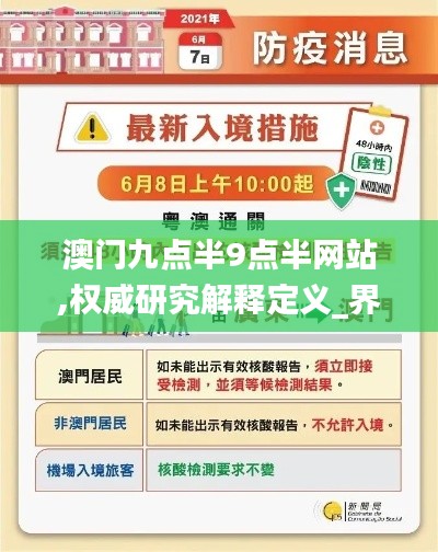 澳门九点半9点半网站,权威研究解释定义_界面版8.504