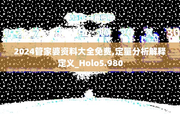 2024管家婆资料大全免费,定量分析解释定义_Holo5.980