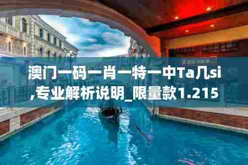 澳门一码一肖一特一中Ta几si,专业解析说明_限量款1.215