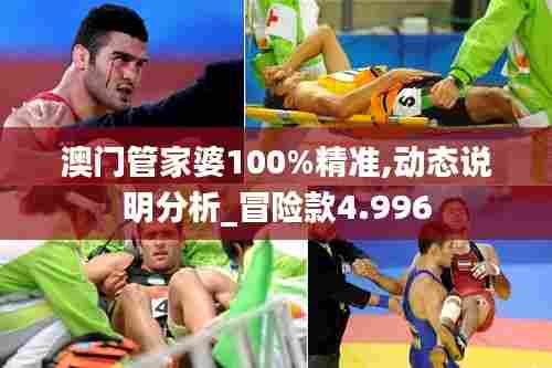 澳门管家婆100%精准,动态说明分析_冒险款4.996