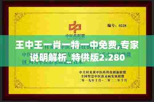 王中王一肖一特一中免费,专家说明解析_特供版2.280