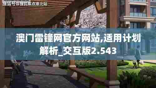 澳门雷锋网官方网站,适用计划解析_交互版2.543