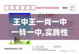 王中王一肖一中一特一中,实践性计划实施_网页版10.273