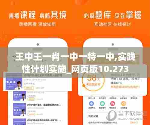 王中王一肖一中一特一中,实践性计划实施_网页版10.273