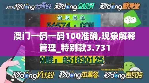 澳门一码一码100准确,现象解释管理_特别款3.731