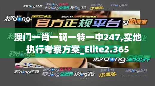 澳门一肖一码一特一中247,实地执行考察方案_Elite2.365