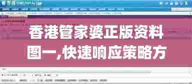 香港管家婆正版资料图一,快速响应策略方案_kit3.371