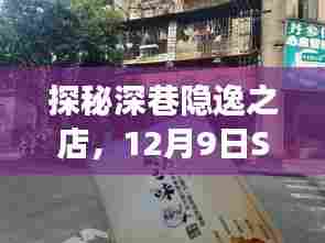 深巷隐逸美食店，Sh9936航班下的独特饕餮体验记