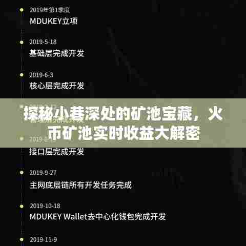 探秘小巷深处的矿池宝藏,火币矿池实时收益揭秘