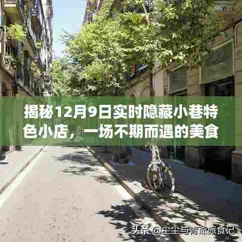 12月9日美食冒险之旅,探寻小巷隐藏特色小店