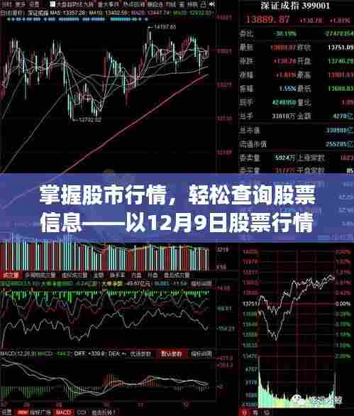 掌握股市行情,详解股票信息实时查询流程——以12月9日为例