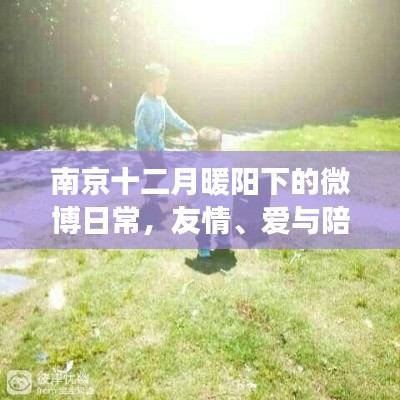 南京暖阳下的微博日常,友情、爱与陪伴的温馨篇章