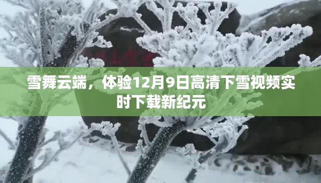 雪舞云端,高清下雪视频实时下载新纪元体验指南(12月9日)