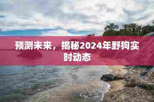 揭秘未来,野狗实时动态预测报告(2024版)