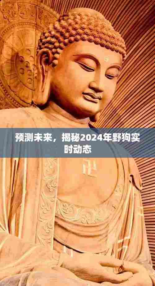揭秘未来,野狗实时动态预测报告(2024版)
