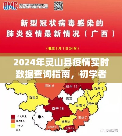 2024年灵山县疫情实时数据查询指南,初学者与进阶用户必备手册详解