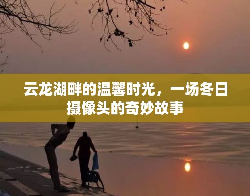 云龙湖畔冬日温馨时光,摄像头下的奇妙故事