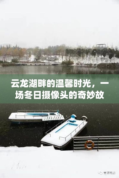 云龙湖畔冬日温馨时光,摄像头下的奇妙故事