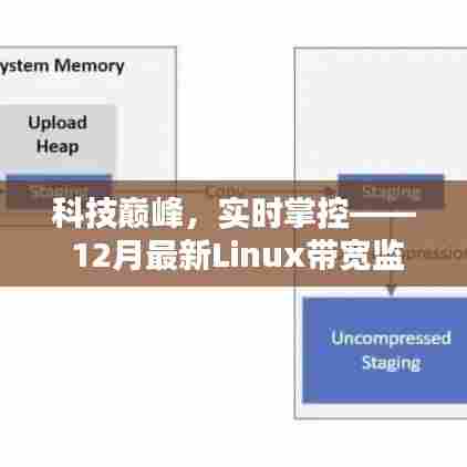 科技巅峰之作,实时Linux带宽监控神器,极速网络体验的新选择