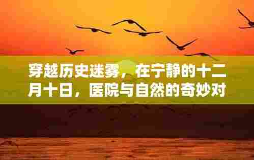 穿越历史迷雾，医院与自然在宁静十二月的奇妙对话