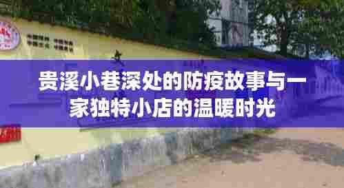 贵溪小巷深处的防疫故事与独特小店的温情岁月