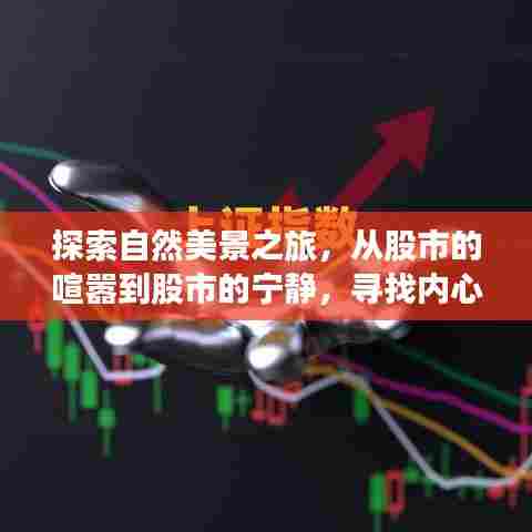 股市与自然美景的双重探索,心灵平和与财富增值的奇迹之旅