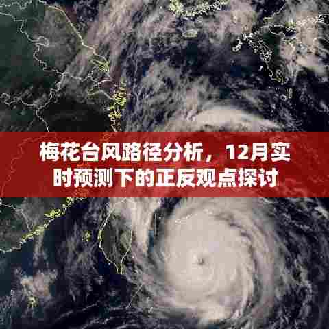 梅花台风路径分析与实时预测下的正反观点探讨