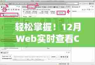 轻松掌握!Web端实时查看CPU与内存信息的详细指南(适合初学者与进阶用户)